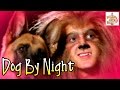 De Vuurtorenfamilie - Dog By Night