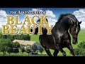 Black Beauty - The Horse Healer