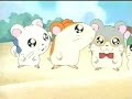 Hamtaro - First Time At The Beach