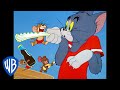 Tom en Jerry - The Joy of Summer