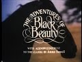 Black Beauty - The Ruffians