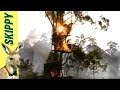 Skippy the Bush Kangaroo - The Bushfire