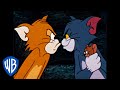 Tom en Jerry - The Dog and Cat Switcharoo